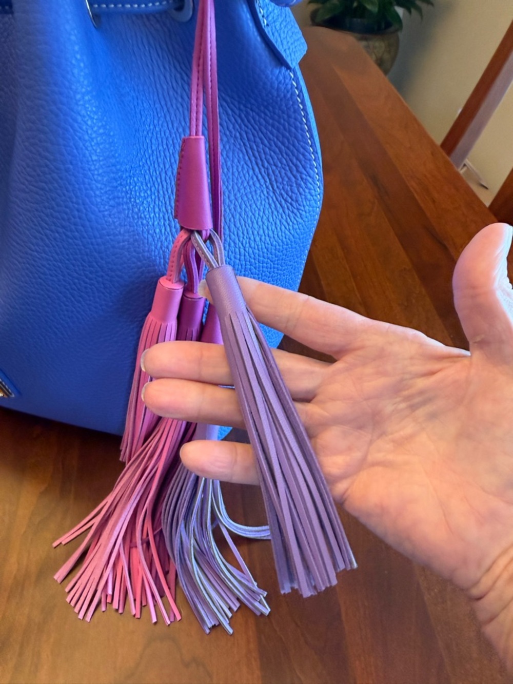 NWOT Dooney & Bourke Lucca Leather Drawstring Bag with Multi-Color Tassels - Picture 8 of 16